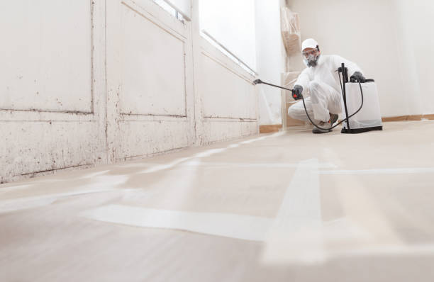 24/7 Emergency Mold Cleanup experts in Damascus, OR