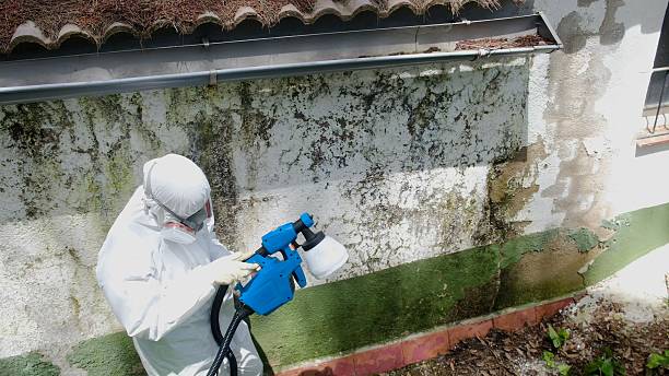 Top rated local Mold Cleanup specialists in Damascus, OR